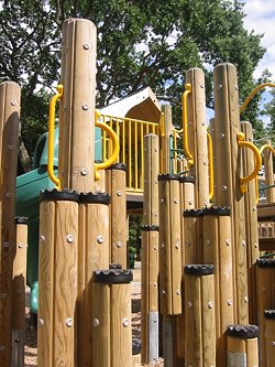 Annie's Fund for Meadowbrook Playground