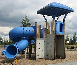 Annie's Fund for Meadowbrook Playground