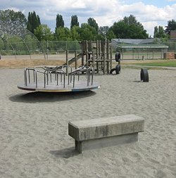 Annie's Fund for Meadowbrook Playground